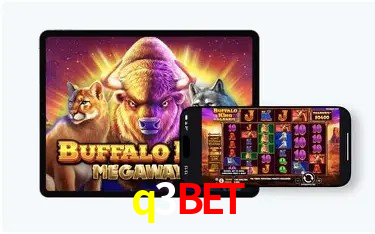 Design Responsivo q3bet